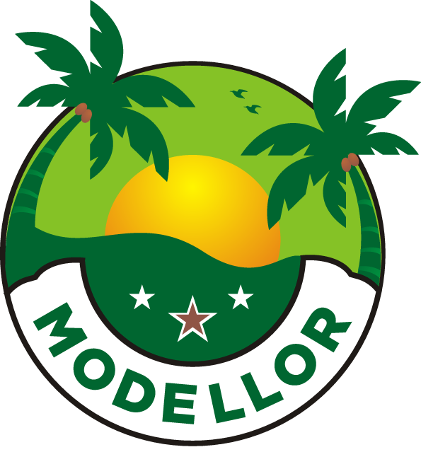 MODELLOR LOGO